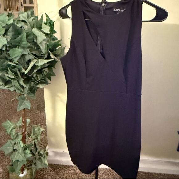 Expresss dress above the knee stretchy - Picture 2 of 3